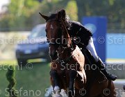 De Lucia Ballantines Giovanili2013  S5 5078 : Arezzo Equestrian Centre, Ballantines, De Lucia Federico, foto di Stefano Secchi ©. Campionati Italiani Giovanili 2013